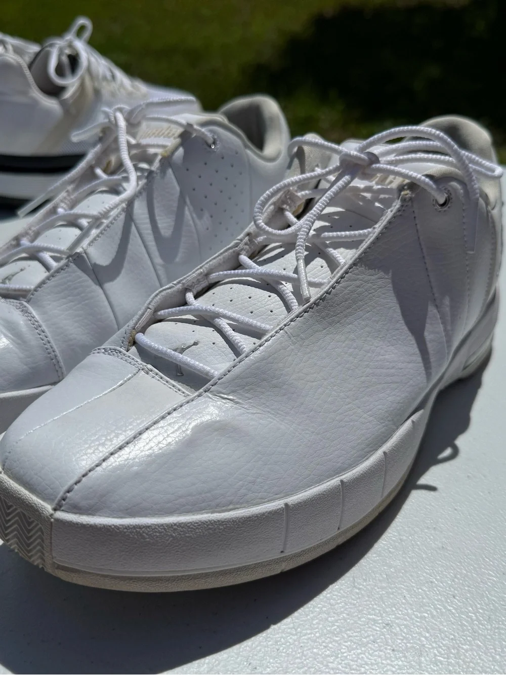 Air Jordan TE 2 Low 'White Pure Platinum' RARE